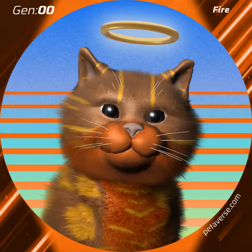 Petaverse