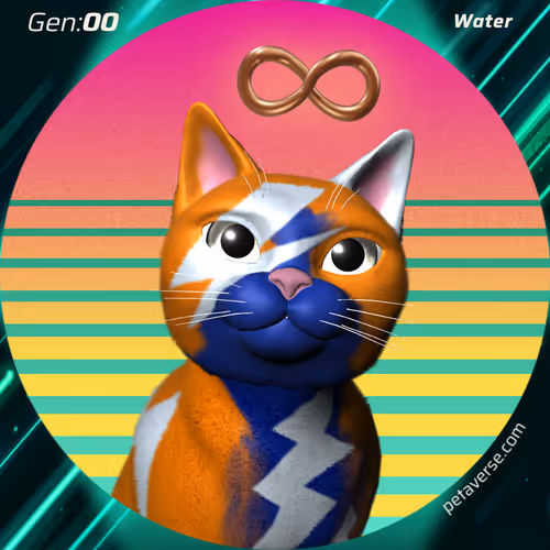 Petaverse
