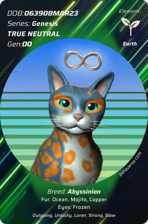 Item #14966359976572479064310017 Media