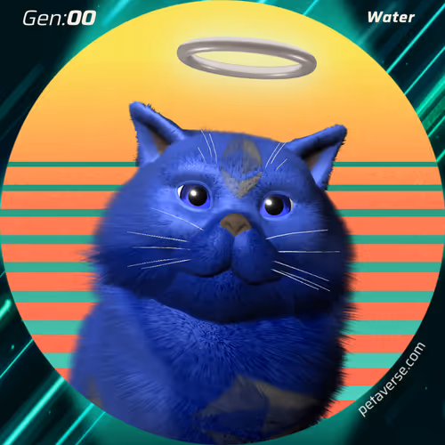 Petaverse