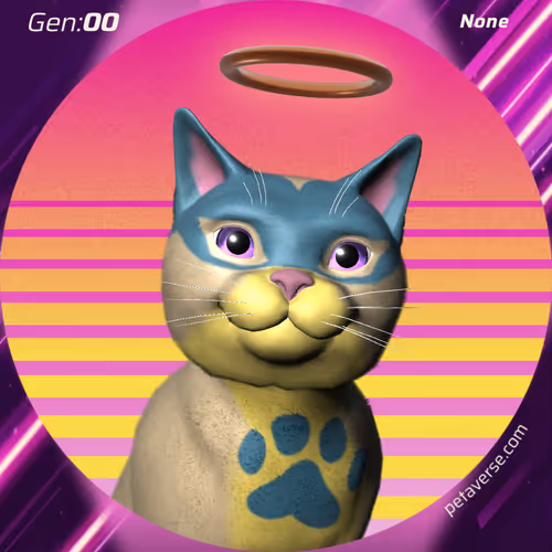 Petaverse