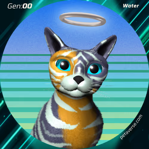 Petaverse