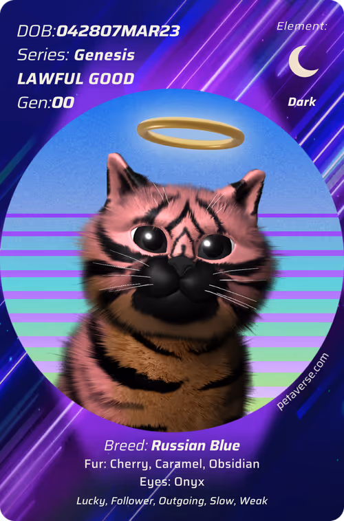 Item #17460950070521300209434881 Media