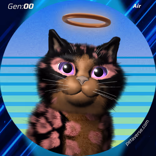 Petaverse