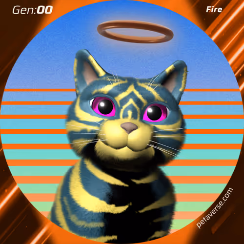 Petaverse