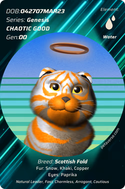 Item #19953178982488669083271425 Media