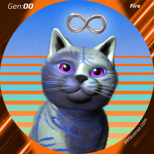 Petaverse
