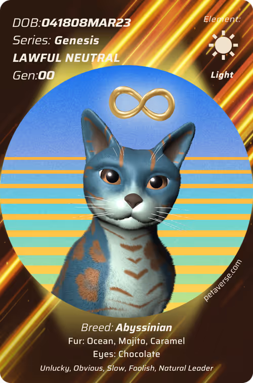 Item #4992721964890326854861057 Media