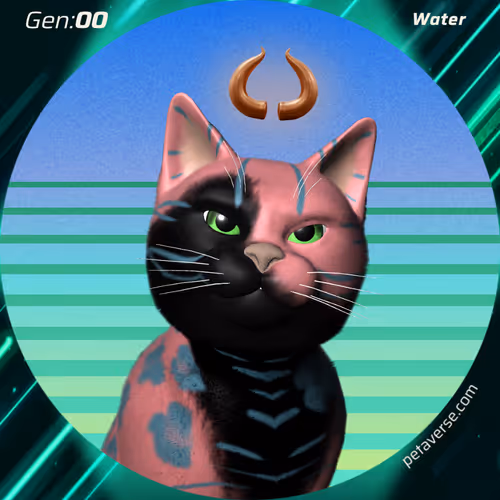 Petaverse
