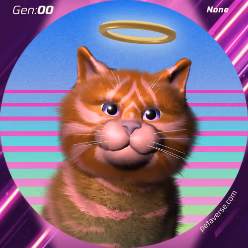 Petaverse