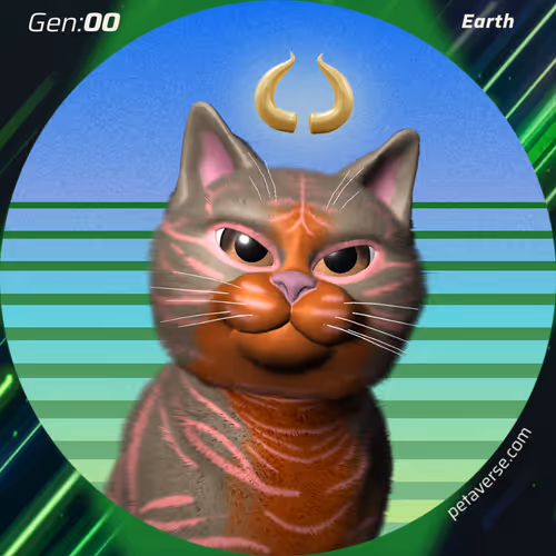 Petaverse