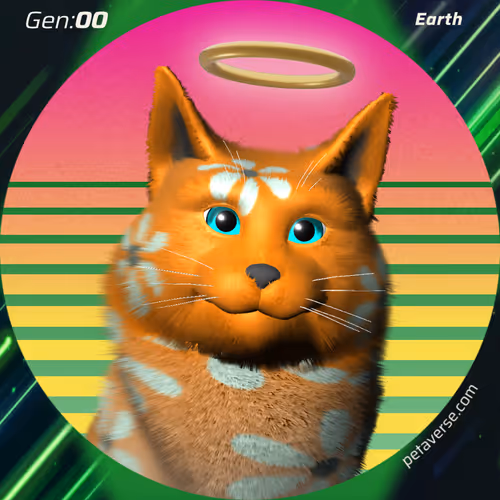 Petaverse