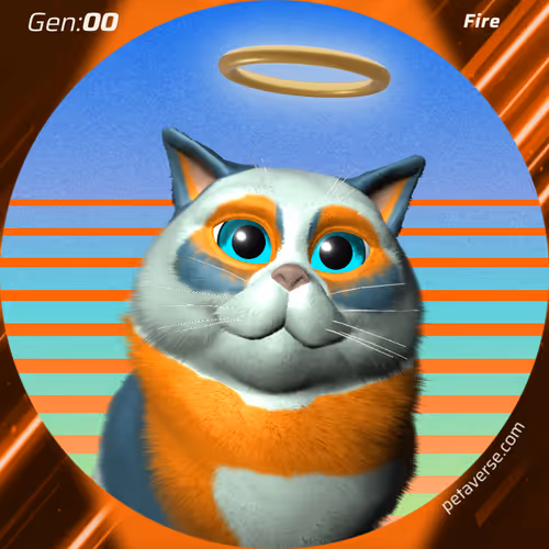 Petaverse