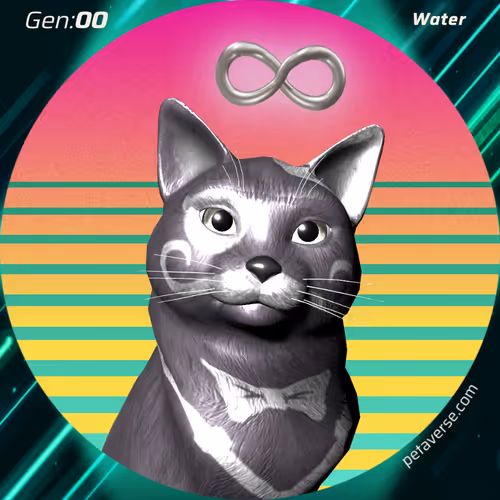 Petaverse