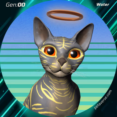 Petaverse