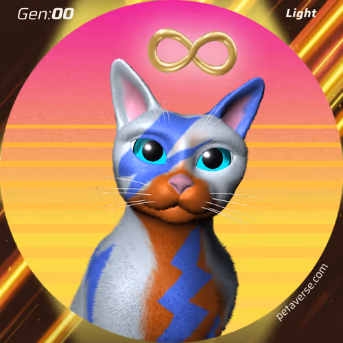 Petaverse
