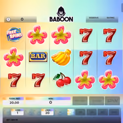 Baboon #2591