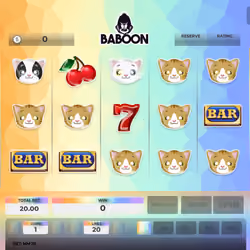Baboon #8617