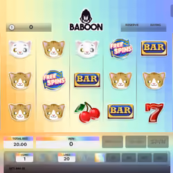 Baboon #6055