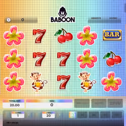 Baboon #4792