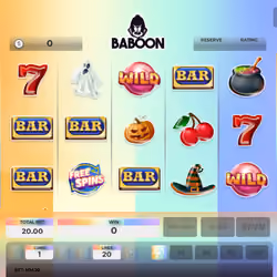 Baboon #9293