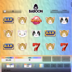 Baboon #6480