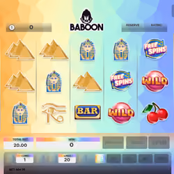 Baboon #5848