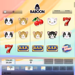 Baboon #9325