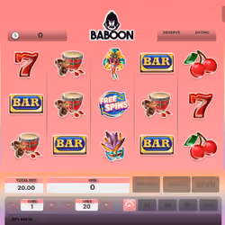 Baboon #4552