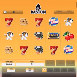Baboon #2563