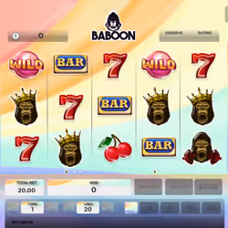Baboon #9917