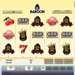 Baboon #1834