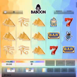 Baboon #2257