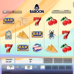 Baboon #3374