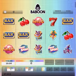 Baboon #9578