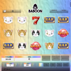 Baboon #977