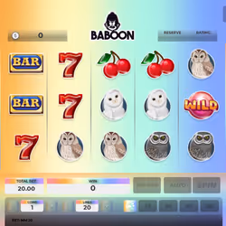 Baboon #971