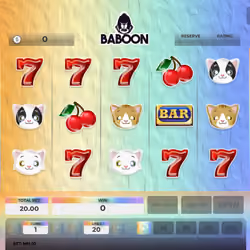 Baboon #5653