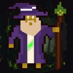 wizard #337