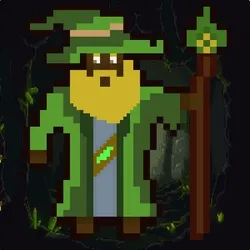 wizard #2593