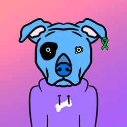 #48