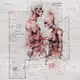 As Above So Below - BDS8htFnaj
