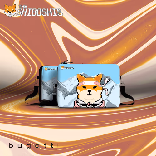 Shiboshis Club X Bugatti Group #187