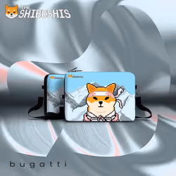 Shiboshis Club X Bugatti Group #261