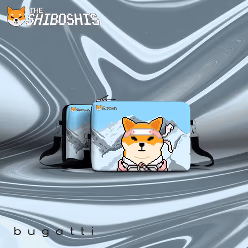 Shiboshis Club X Bugatti Group #230