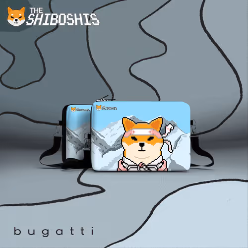Shiboshis Club X Bugatti Group #212