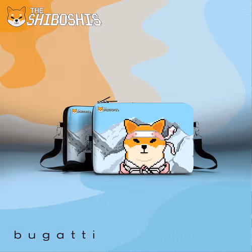 Shiboshis Club X Bugatti Group #215