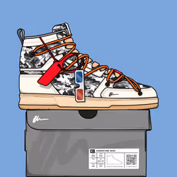 Signature Sneakers Highs #12
