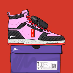 Signature Sneakers Highs #434