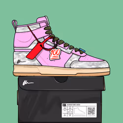 Signature Sneakers Highs #619